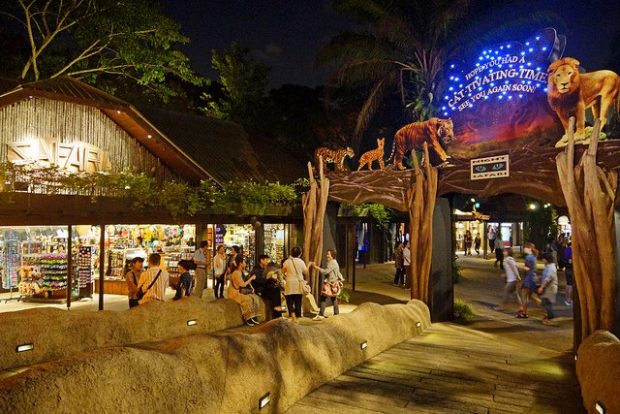 Vườn thú Night Sapari đón hơn 1 triệu du khách đến thăm hàng năm